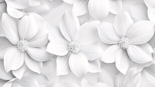 白色立体花朵背景纹理