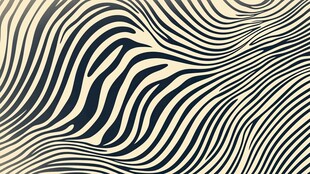 动感黑白条纹抽象纹理图案