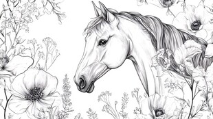 马与花卉的黑白线稿画