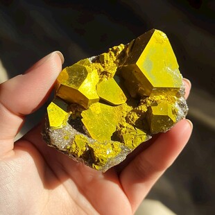 手持璀璨黄铁矿晶体