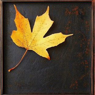 金色枫叶的静谧之美