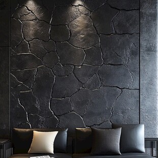 黑色裂纹墙面搭配简约沙发