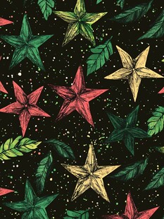 手绘彩色星星与叶片图案