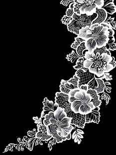 黑白蕾丝花卉图案装饰
