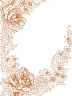 金色蕾丝花卉装饰图案