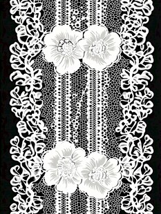 白色蕾丝花边图案设计