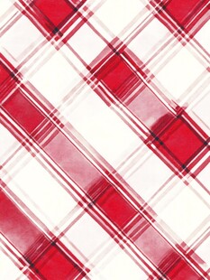 红白格子图案纹理背景