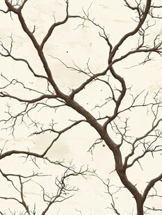 冬日枯树枝干纹理画面