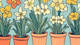 盆栽花卉插画 清新明艳