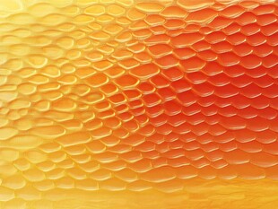渐变鱼鳞纹理背景图案