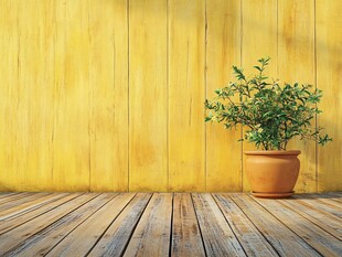 黄木墙旁的盆栽绿植