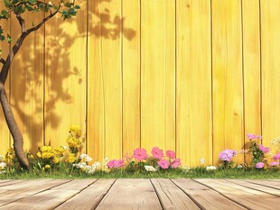 木墙旁的花草与木质地面