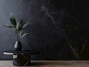 黑色大理石墙面与绿植摆件