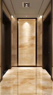 奢华大理石电梯厅设计