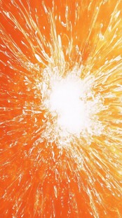 橙子果肉特写 活力满满