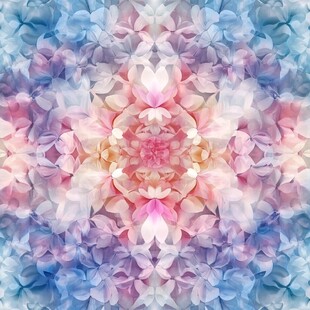 梦幻花卉对称图案纹理