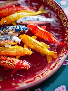 盘中多彩锦鲤灵动鲜活