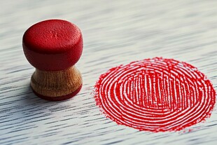 红色印章与印出的指纹图案
