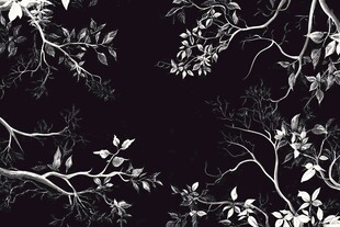 黑白树枝树叶背景图案