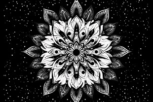 黑白曼陀罗花纹艺术图案