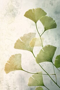 复古风银杏叶艺术插画