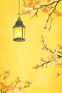 春日黄墙下的灯笼与花枝