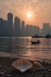 江畔落日下的贝壳与城市景