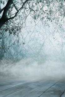 雾中孤树 朦胧静谧之景