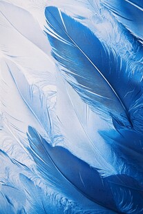 蓝色梦幻羽毛纹理特写
