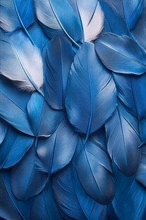 蓝色羽毛纹理特写