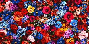 缤纷花海 绚丽花卉盛宴