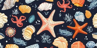 海洋生物贝壳图案插画