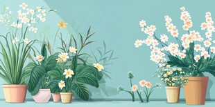 室内盆栽花卉清新组合