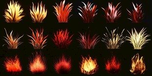 多样火焰植物特效集合