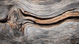 风化老木头纹理特写