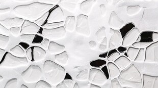 黑白纹理抽象艺术图案