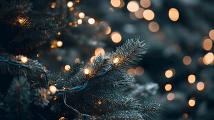 圣诞松枝上的暖光小灯串