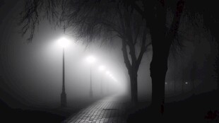 雾夜路灯下的静谧小道