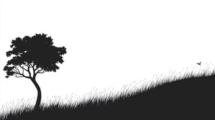 孤独树影下的静谧草地