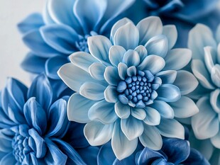 蓝色瓷质花卉精致之美