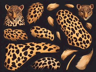 猎豹图案素材集合