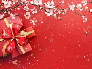 红梅贺礼 喜庆佳节氛围