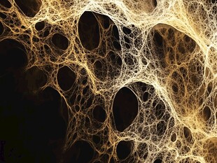 金色网状结构抽象艺术图