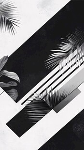 黑白棕榈叶几何抽象画面