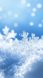 晶莹雪花特写 冬日之美