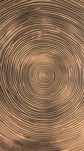 木纹同心圆纹理背景图