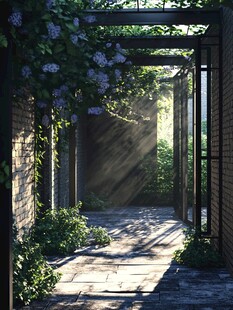 阳光洒落的绿植幽径