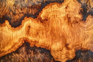 绝美木纹特写展现自然纹理