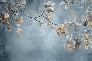 淡蓝背景下的唯美花叶景致