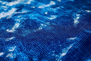 蓝色泳池水面波光粼粼